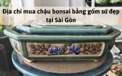 Địa chỉ mua chậu bonsai bằng gốm sứ đẹp tại Sài Gòn