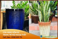 Dùng chậu hoa lớn trang trí phòng khách kiểu hoàng gia