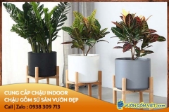 Mẫu chậu trang trí trong nhà, chậu gốm indoor đẹp