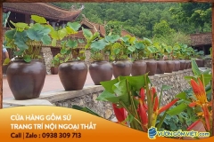 Trầm trồ mẫu sân vườn đơn giản đẹp với đồ gốm sứ