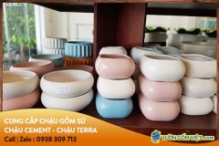 Cần tìm xưởng sỉ chậu gốm nhỏ giá rẻ tham khảo ngay